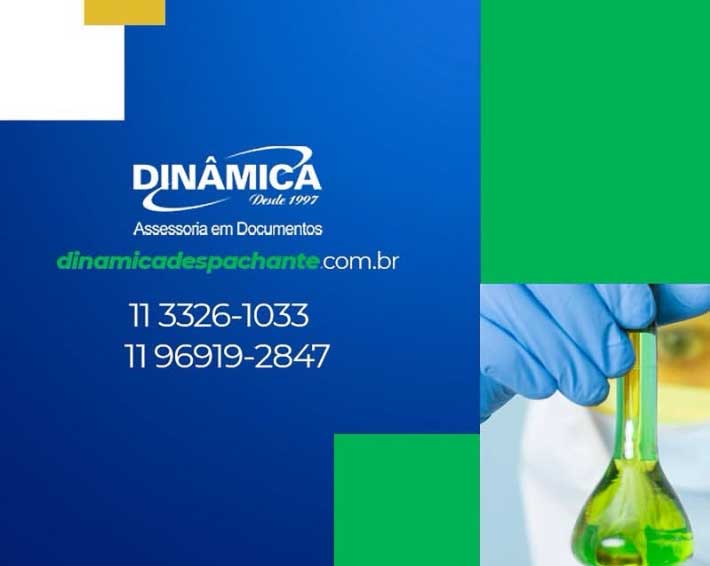 Dinâmica Despachante São Paulo